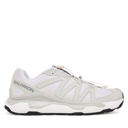 Salomon Снікерcи Salomon Xc Roam L49124600 Білий