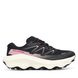 Salomon Laufschuhe Salomon Ultra Flow 2 Gtx W GORE-TEX L49299500 Schwarz