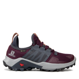 

Взуття Salomon Madcross Gtx W GORE-TEX 414413 20 V0 Winetasting/India Ink/Mocha Mousse, Фіолетовий