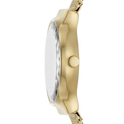 

Годинник Skagen Freja Lille SKW3110 Gold/Gold, Золотий