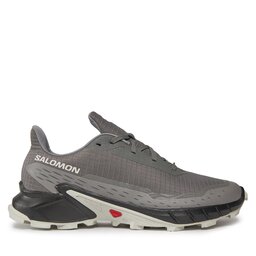 Salomon Běžecké boty Salomon Alphacross 5 473133 29 W0 Šedá