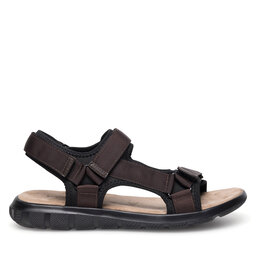 Lanetti Sandales Lanetti MSS20230-13 Brūns