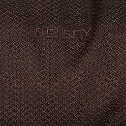 

Сумка Delsey, Коричневий