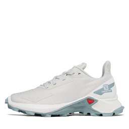 

Взуття Salomon Alphacross Blast J 471183 11 V0 Lunar Rock/White/Stone Blue, Сірий
