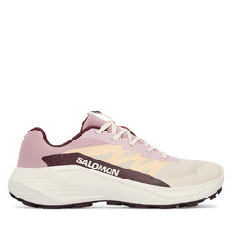 Salomon Взуття для бігу Salomon Alphaglide W L49092800 Кремовий