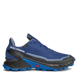 

Взуття Salomon Alphacross 5 Gtx 473092 29 W0 Blue Print/Lapis Blue/White, Cиній