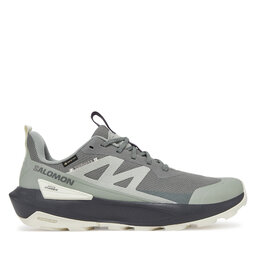 Salomon Trekkingschuhe Salomon Elixir Activ Gore-Tex L47757800 Grau