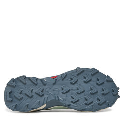 

Взуття Salomon Supercross 4 W L47316400 Lily Pad/Vanilla Ice/Bering Sea, Зелений