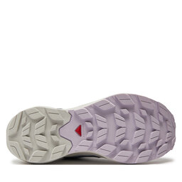 

Трекінгові черевики Salomon Elixir Activ Gore-Tex L47526500 India Ink / Glacier Gray / Orchid Petal, Сірий