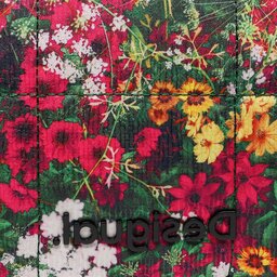 

Рюкзак Desigual 22WAKA26 4105, Кольоровий