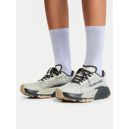 The North Face Laufschuhe The North Face Altemesa 500 V2 NF0A8DAJTFL1 Grau