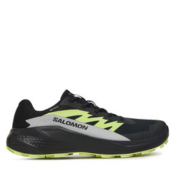 Salomon Взуття для бігу Salomon Alphaglide GORE-TEX L47802000 Чорний