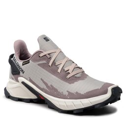 Salomon Обувки Salomon Alphacross 4 Gtx W GORE-TEX 417232 20 V0 Ashes Of Roses/White/Ebony