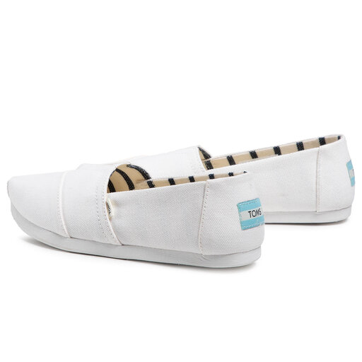 toms white canvas