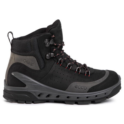 ecco biom venture