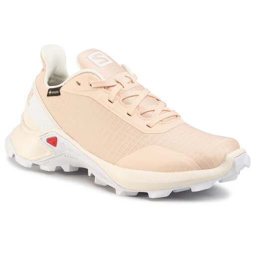 Chaussures de running Salomon Alphacross Gtx W GORE TEX 409612 20 V0 Beige chaussures