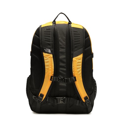 Classic north online face backpack