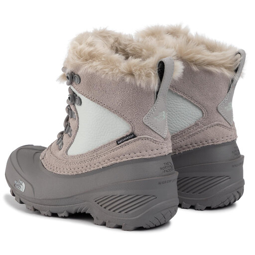 The north face store youth shellista extreme