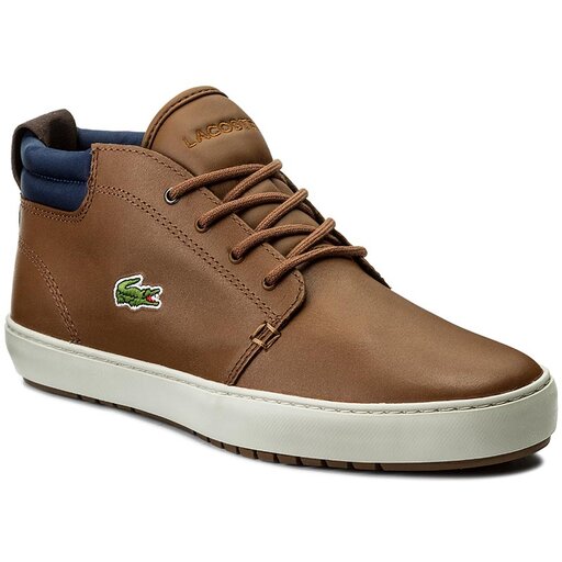 Lacoste ampthill sales terra 317 1