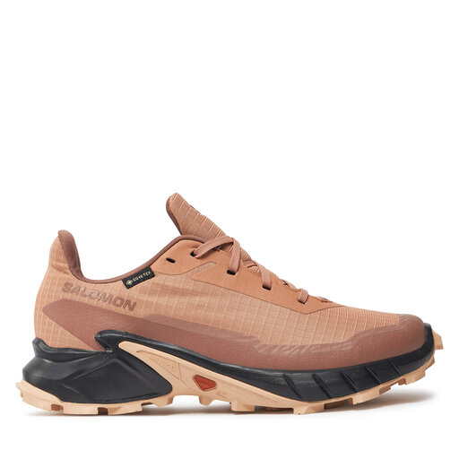 Взуття для бігу Salomon Alphacross 5 Gore-Tex L47595100 Кораловий
