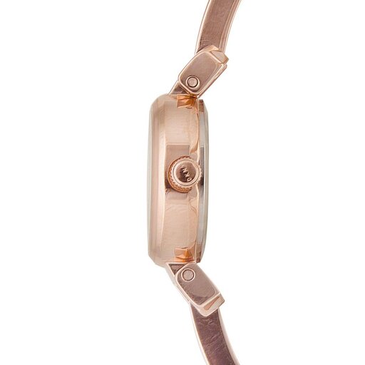Dkny ellington cheap watch rose gold