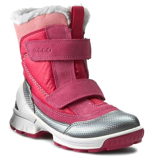 Ecco biom hike womens deals silver