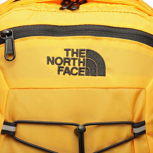 Classic north sales face backpack