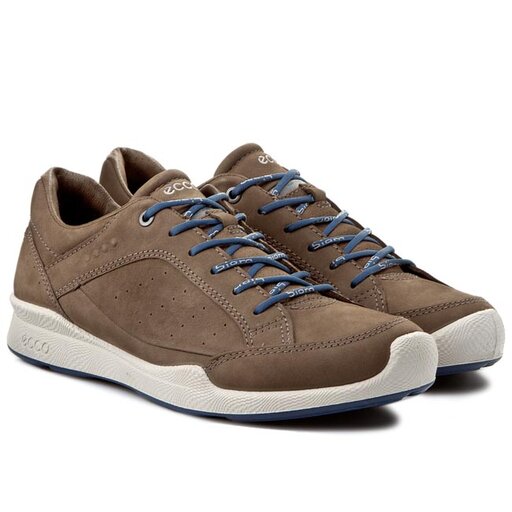 Ecco biom hybrid mens birch online