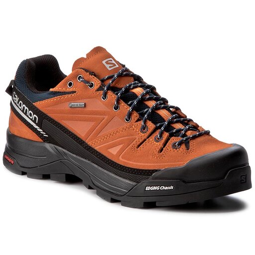 Salomon x alp pro gtx discount