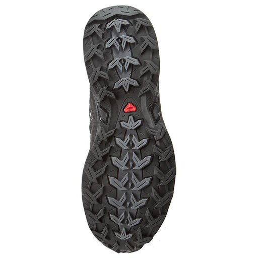 Salomon x ultra ltr gtx asphalt online