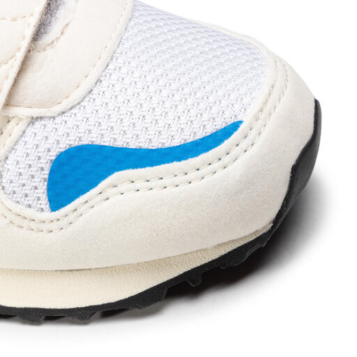 はや 現品) ネオレゲリア アンプラセア バリエガータ (No.62298