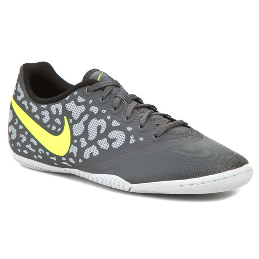 Elastico pro clearance