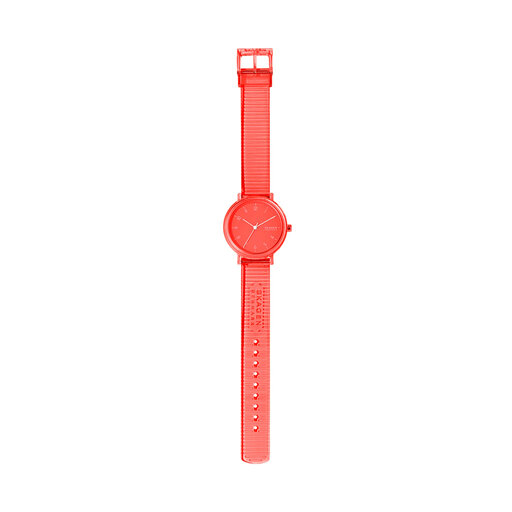 Skagen best sale aaren ombre