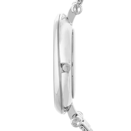 Skagen skw2485 hotsell