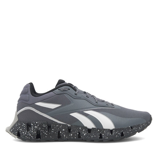 Взуття для бігу Reebok Zig Dynamica 4 Adventure 100074699 Сірий