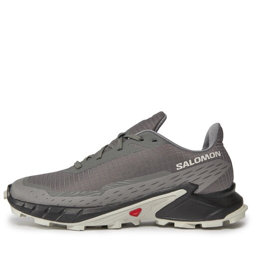 Buty do biegania Salomon Alphacross 5 473133 29 W0 Szary