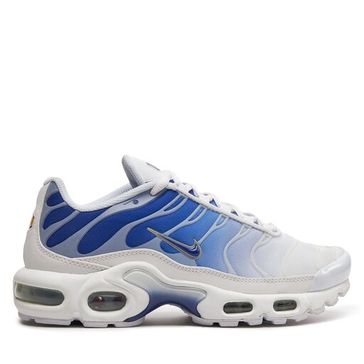 nike air max plus trainers