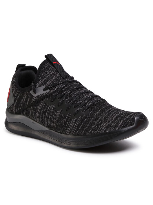 Взуття для тренажерного залу Puma Ignite Flash EvoKnit 190508 25
