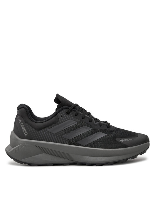 Взуття для бігу adidas Terrex Soulstride Flow Gore-Tex
