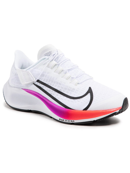 Pegasus 37 w discount