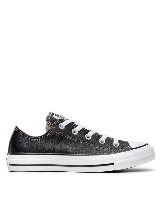 kedi-converse-chuck-taylor-all