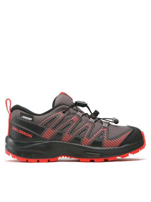 Salomon xa pro 3d cswp online