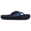 The North Face Джапанки The North Face M Basecamp Flpflp II NF0A47AALKM1 Shadybl/Urbnnvy