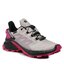 Salomon Pantofi Salomon Supercross 4 Gtx W GORE-TEX 417355 20 V0 Ashes Of Roses/Black/Very Berry