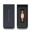 Daniel Wellington Hodinky Daniel Wellington Quadro DW00100484 Rose Gold/Rose Gold