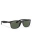 Ray-Ban Occhiali da sole Ray-Ban 0RB4202 606971 Matte Black On Black/Dark Green
