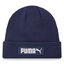 Puma Căciulă Puma 234340 06 Peacoat