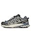 Salomon Bakancs Salomon Xa Pro 3D V9 GORE-TEX L47270600 Flint Stone/Black/Ghost Gray