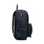 Tommy Hilfiger Rucksack Tommy Hilfiger Logo Bacpack AU0AU01551 DW6