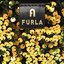 Furla Kabelka Furla Camelia WE00445-BX1377-1873S-1-007-20-CN-E Toni Champagne